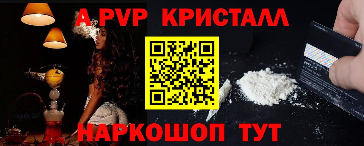 APVP СК КРИС Балтийск