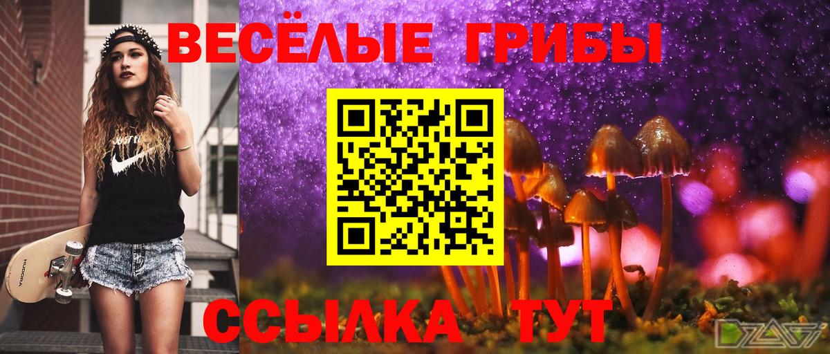 Галлюциногенные грибы мухоморы  Вход с VPN  Балтийск 